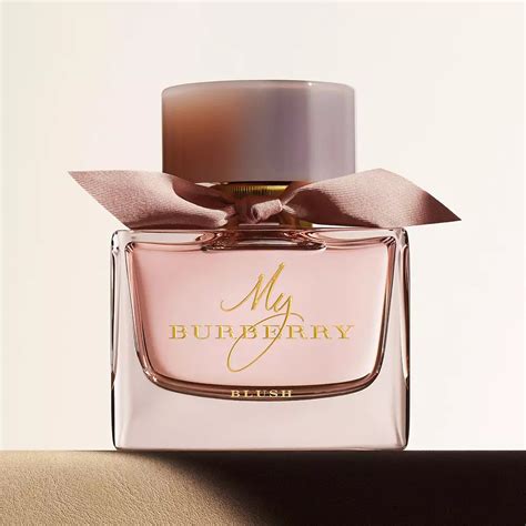 burberry 紙袋|burberry perfumes for women.